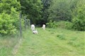 IMG_0616.JPG
