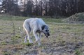 IMG_8334.JPG