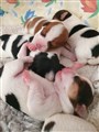 thumbnail_20220902_105822.jpg