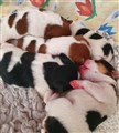 thumbnail_20220902_105918.jpg