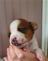 thumbnail_20220912_161830.jpg