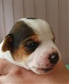 thumbnail_20220912_162102.jpg