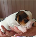 thumbnail_20220912_162119.jpg