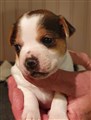 thumbnail_20220919_195235.jpg