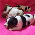 thumbnail_IMG_20220909_145122_686.jpg