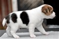 thumbnail_image10.jpg