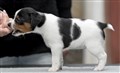 thumbnail_image8.jpg