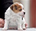 thumbnail_image9.jpg